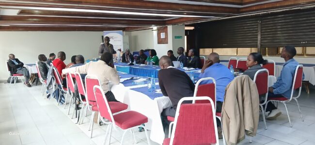 WhatsApp Image 2025-07-23 at 15.48.47